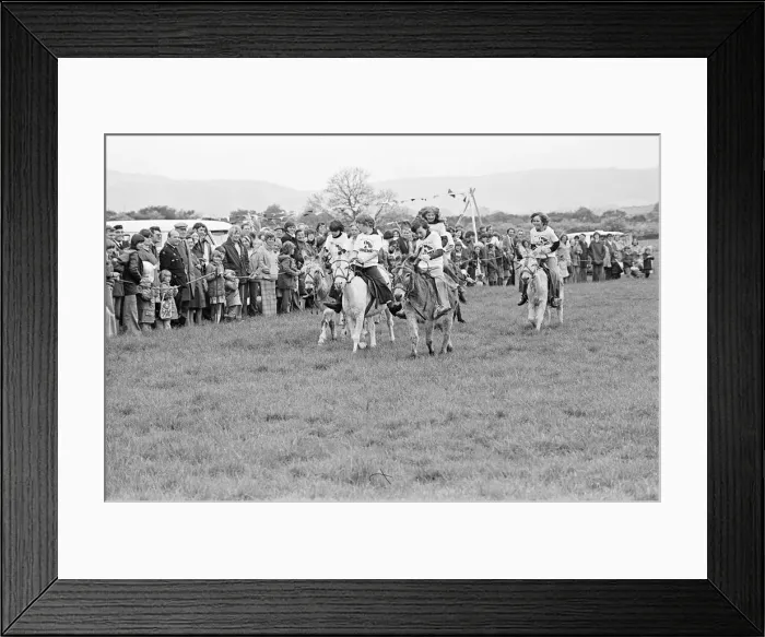 Framed Print : Donkey Derby Day, Middlesbrough, June 1977 Framed Print : Donkey Derby Day, Middlesbrough, June 1977