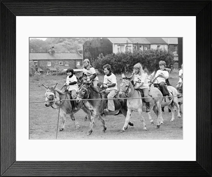 Framed Print : Donkey Derby Day, Middlesbrough, June 1977 Framed Print : Donkey Derby Day, Middlesbrough, June 1977