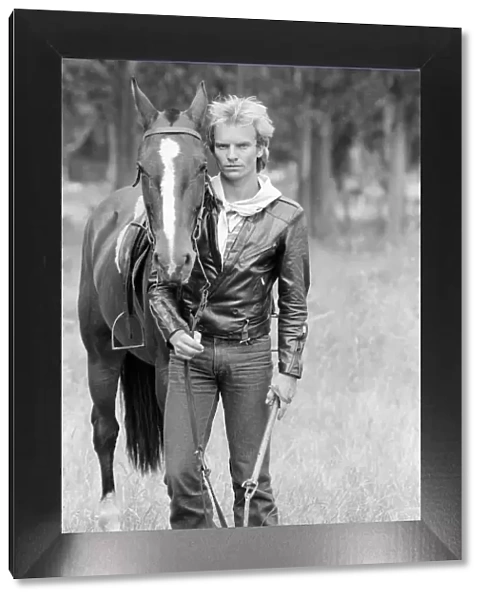 Sting, from the pop  /  rock group The Police. Pictured here with a horse