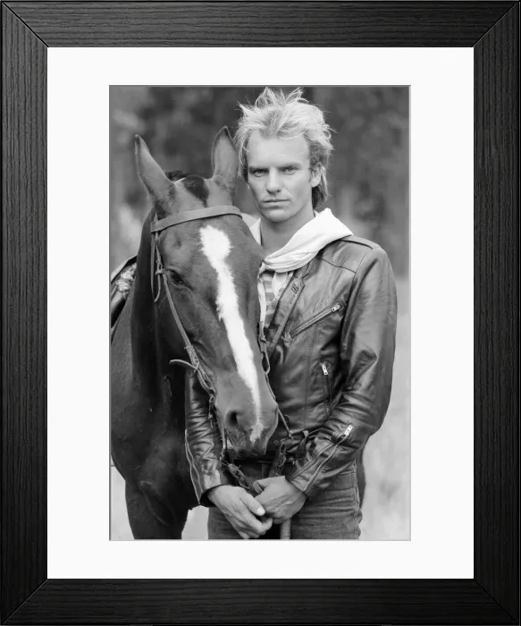 Framed Print : Sting, from the pop / rock group The Police. Pictured here with a horse Framed Print : Sting, from the pop / rock group The Police. Pictured here with a horse