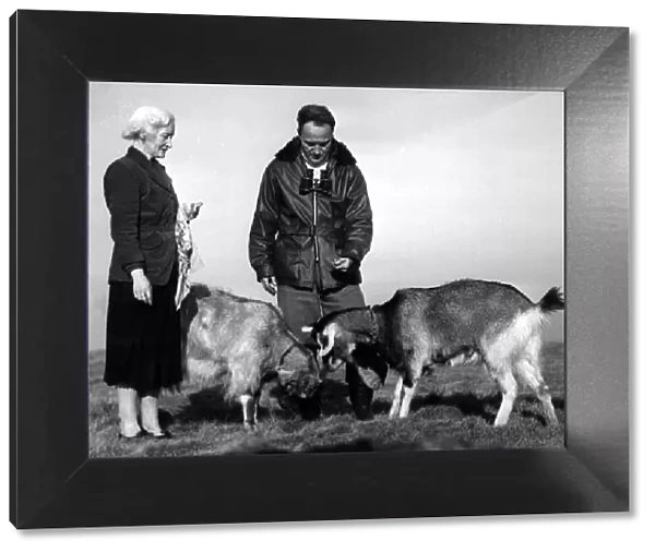 Hilbre Island custodian Charles Clifton and his wife Jean feeding their two goats