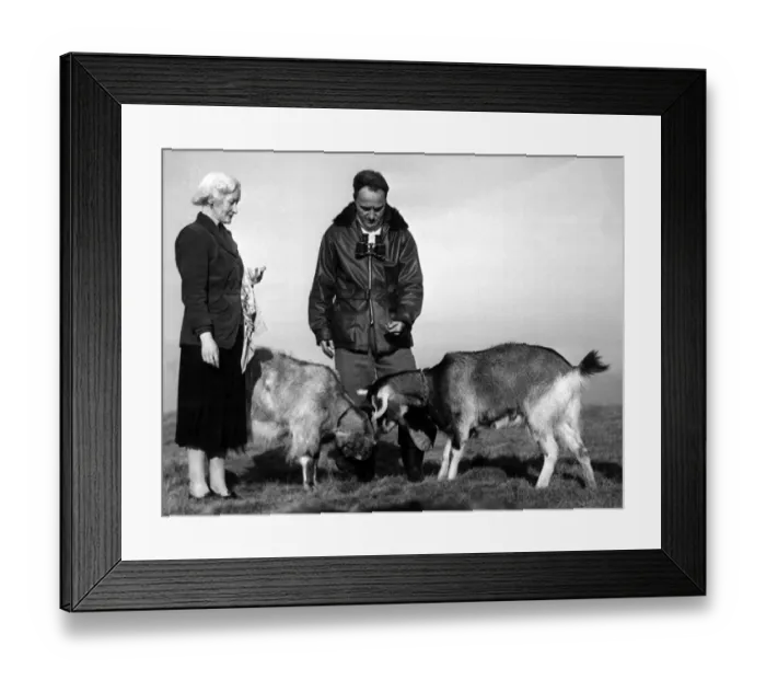 Framed Print : Hilbre Island custodian Charles Clifton and his wife Jean feeding their two goats