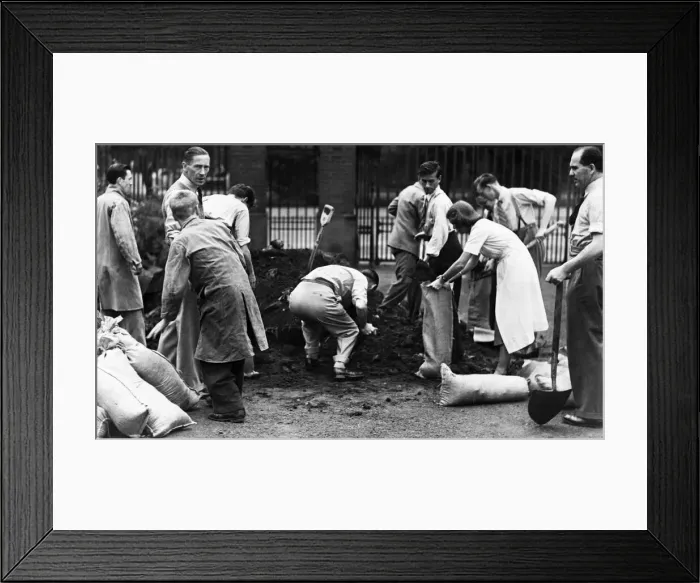 Framed Print : Students take a share in filling the bags of soil to protect the dental hospital Framed Print : Students take a share in filling the bags of soil to protect the dental hospital