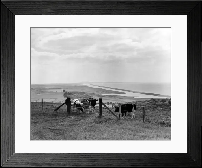 Framed Print : Chesil beach and Portland on the horizon, Dorset. Circa 1940 Framed Print : Chesil beach and Portland on the horizon, Dorset. Circa 1940