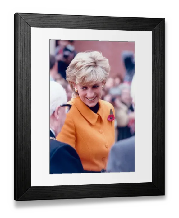 Framed Print : Princess Diana visits Merseyside, Tuesday 7th November 1995