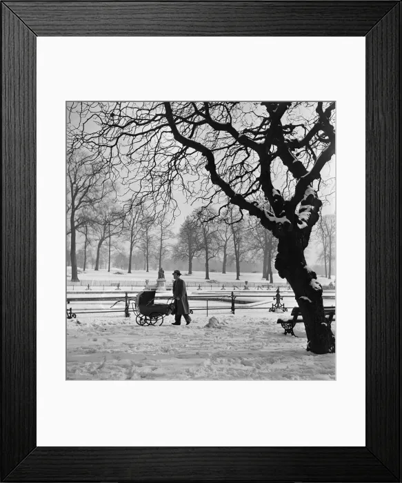 Framed Print : A man pushing a pram through Hyde Park in London. Circa 1953 Framed Print : A man pushing a pram through Hyde Park in London. Circa 1953