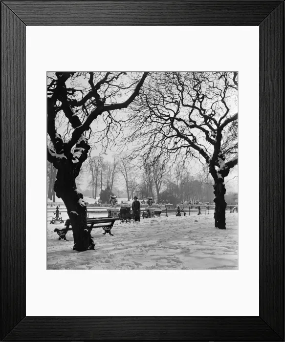 Framed Print : A man pushing a pram through Hyde Park in London. Circa 1953