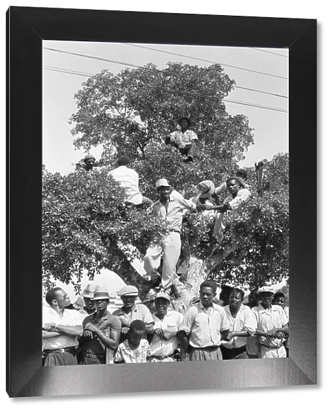 Members of the crowd try to gain a vantage point in the trees surround the Parade Ground