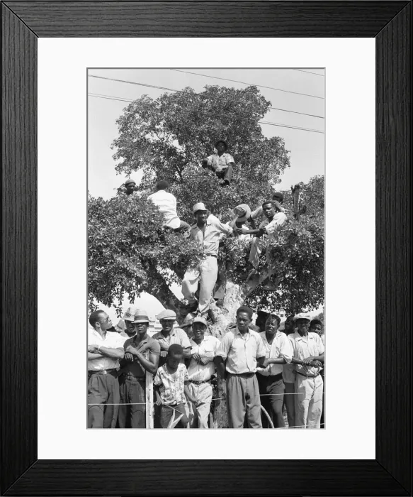 Framed Print : Members of the crowd try to gain a vantage point in the trees surround the Parade Ground Framed Print : Members of the crowd try to gain a vantage point in the trees surround the Parade Ground