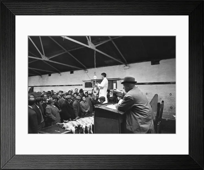 Framed Print : Auctioneer taking bids during Christmas Turkey Auction at Reading Cattle Market in Great Framed Print : Auctioneer taking bids during Christmas Turkey Auction at Reading Cattle Market in Great