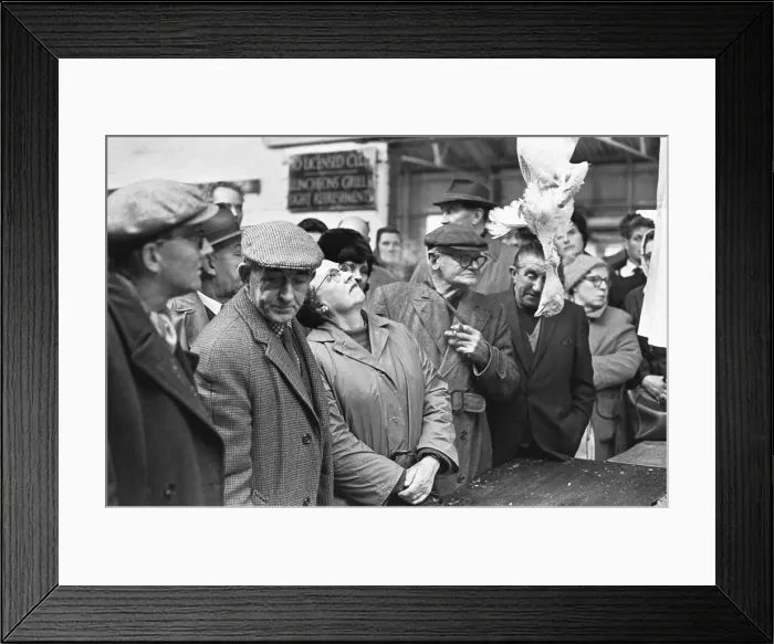 Framed Print : Bidders eyeing up the next bird to go under the hammer at the Christmas Turkey Auction Framed Print : Bidders eyeing up the next bird to go under the hammer at the Christmas Turkey Auction