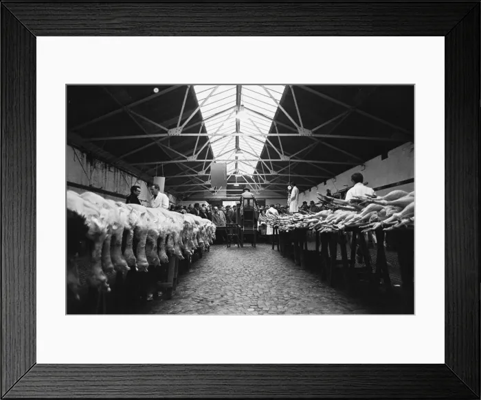 Framed Print : Turkeys waiting to go under the hammer at the Christmas Turkey Auction at Reading Cattle Framed Print : Turkeys waiting to go under the hammer at the Christmas Turkey Auction at Reading Cattle