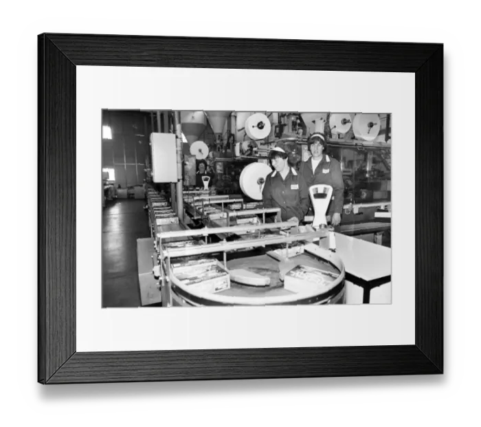 Framed Print : Millions of tea bags go through the machine at the Tetley Tea factory, Eaglescliffe
