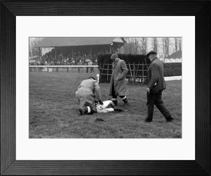 Framed Print : Horse racing at Windsor, a jockey who has fallen from his horse. 4th January 1972 Framed Print : Horse racing at Windsor, a jockey who has fallen from his horse. 4th January 1972