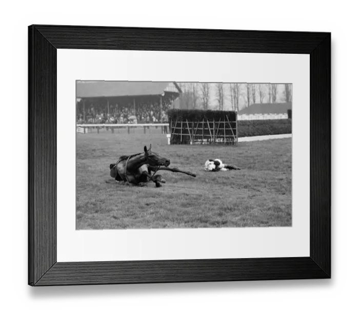 Framed Print : Horse racing at Windsor, a jockey who has fallen from his horse. 4th January 1972