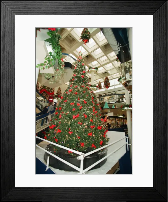 Framed Print : Christmas lights being switched on, Broad Street Mall, Reading. 14th November 1998 Framed Print : Christmas lights being switched on, Broad Street Mall, Reading. 14th November 1998