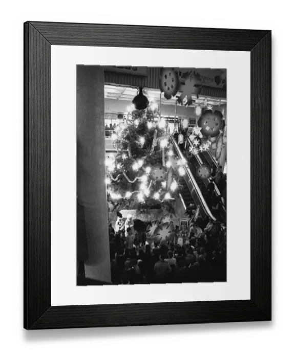 Framed Print : Late night shoppers admiring the giant Christmas tree and display following Reading Framed Print : Late night shoppers admiring the giant Christmas tree and display following Reading