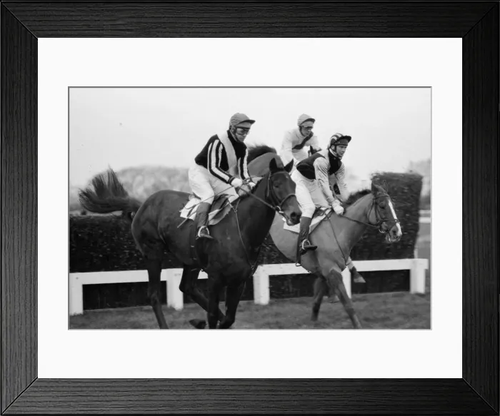 Framed Print : Horse racing at Windsor, Even Up in a race. 1st January 1975 Framed Print : Horse racing at Windsor, Even Up in a race. 1st January 1975