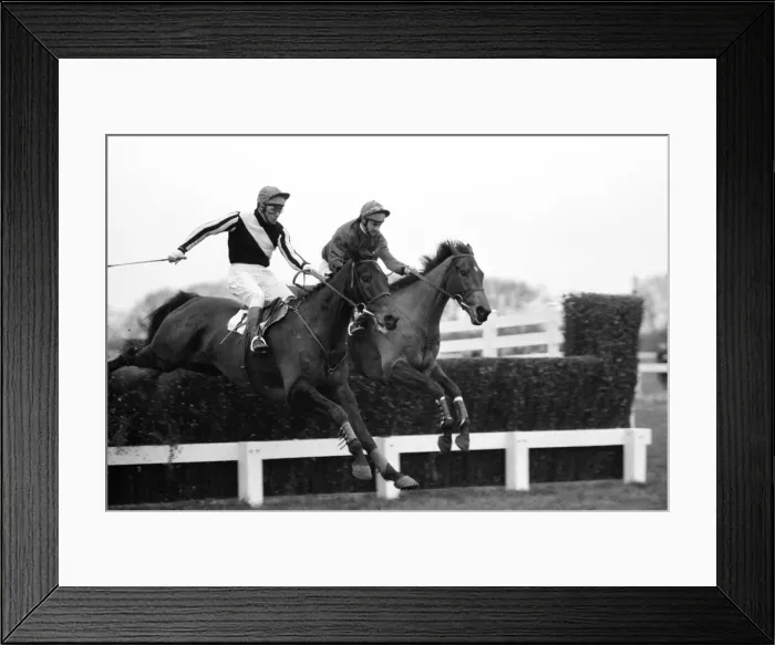 Framed Print : Horse racing at Windsor, Even Up in a race. 1st January 1975 Framed Print : Horse racing at Windsor, Even Up in a race. 1st January 1975