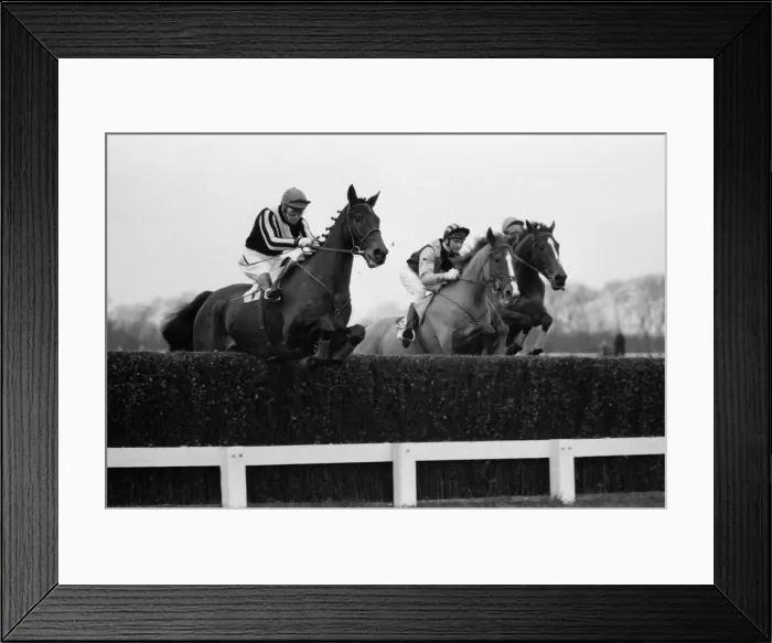 Framed Print : Horse racing at Windsor, Even Up in a race. 1st January 1975 Framed Print : Horse racing at Windsor, Even Up in a race. 1st January 1975
