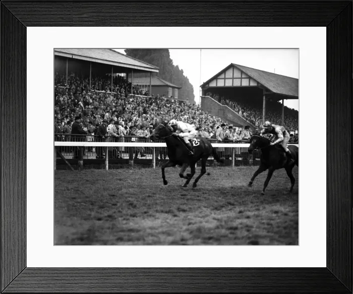 Framed Print : Horse racing at Windsor. Number 24 Sally Sue, W Elliott. 20th May 1959 Framed Print : Horse racing at Windsor. Number 24 Sally Sue, W Elliott. 20th May 1959