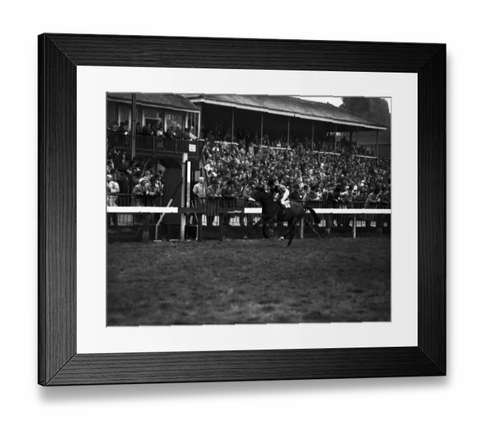Framed Print : Horse racing at Windsor. 5th race, Windsor handicap. Tandai