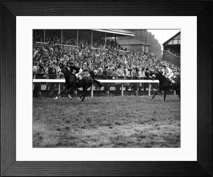 Framed Print : Horse racing at Windsor. Number 10, E Mercer on Wellingborough. 20th May 1959 Framed Print : Horse racing at Windsor. Number 10, E Mercer on Wellingborough. 20th May 1959