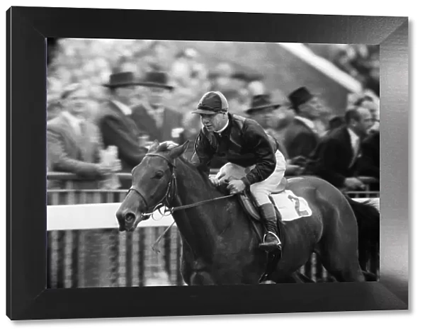 Horse racing at Windsor. Royal Windsor Races, July Meeting. 4th July 1955