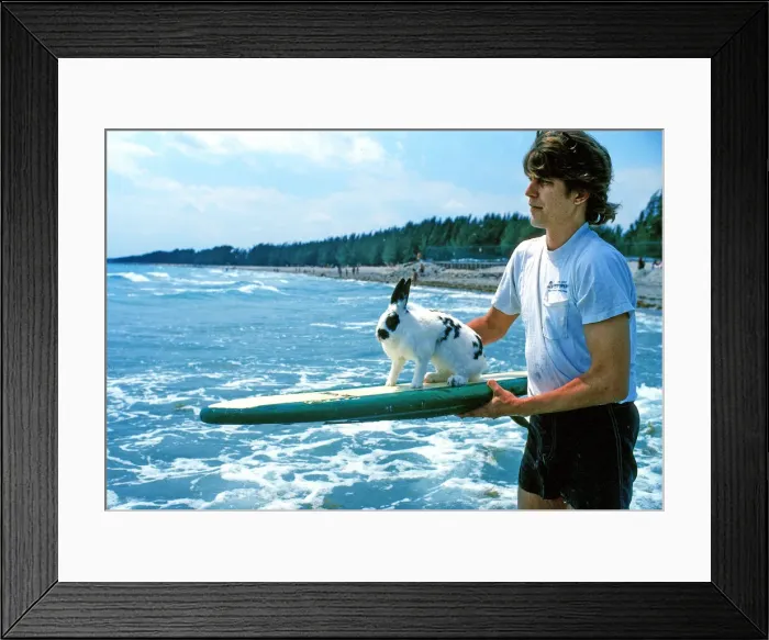Framed Print : Hazel the surfing rabbit. Picture taken 1st June 1981 Framed Print : Hazel the surfing rabbit. Picture taken 1st June 1981