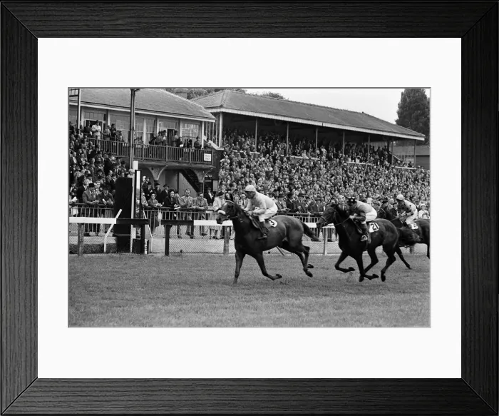 Framed Print : Racing at Windsor race course. 30th July 1962 Framed Print : Racing at Windsor race course. 30th July 1962