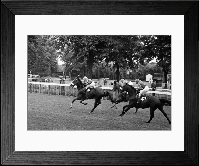 Framed Print : Racing at Windsor race course. 30th July 1962 Framed Print : Racing at Windsor race course. 30th July 1962
