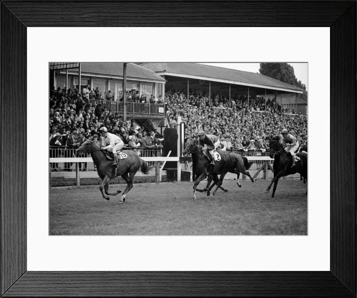 Framed Print : Racing at Windsor race course. 30th July 1962 Framed Print : Racing at Windsor race course. 30th July 1962