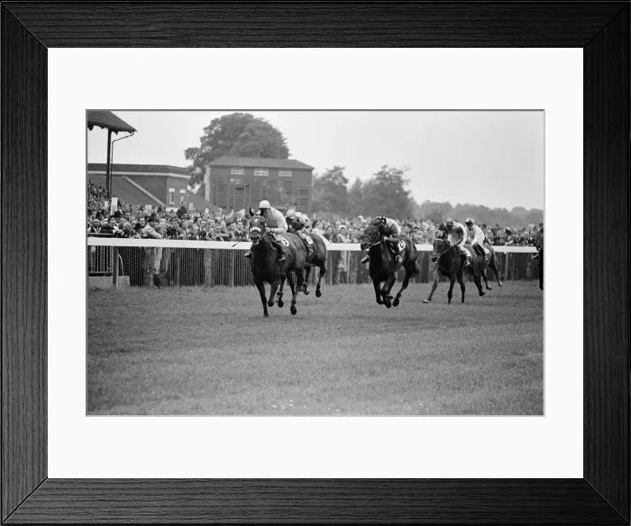 Framed Print : Racing at Windsor race course. 30th July 1962 Framed Print : Racing at Windsor race course. 30th July 1962