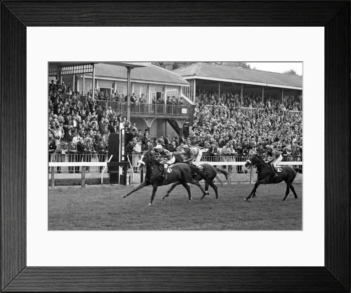 Framed Print : Racing at Windsor race course. 30th July 1962 Framed Print : Racing at Windsor race course. 30th July 1962
