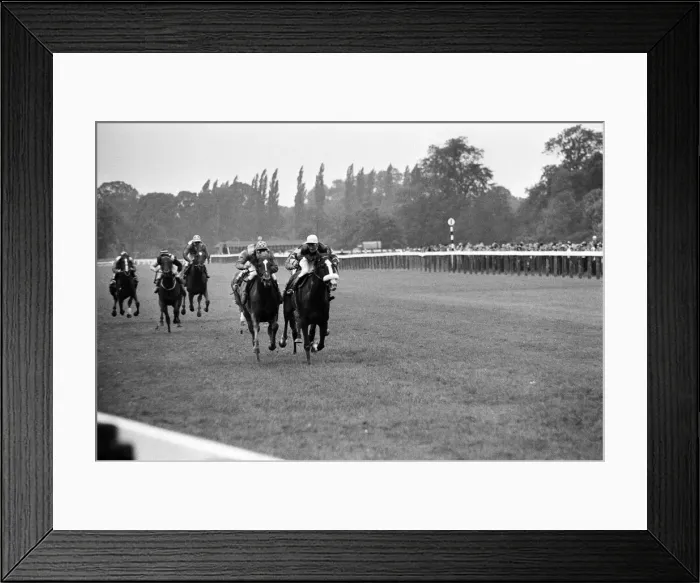 Framed Print : Racing at Windsor race course. 30th July 1962 Framed Print : Racing at Windsor race course. 30th July 1962