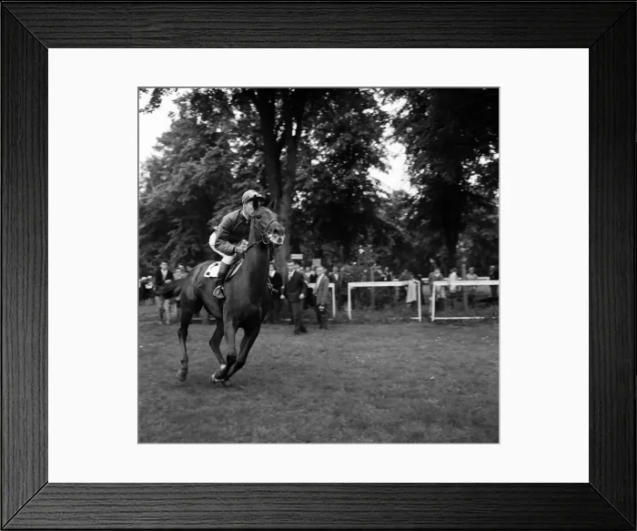 Framed Print : Racing at Windsor race course. Lester Piggott rides again after a two month suspension Framed Print : Racing at Windsor race course. Lester Piggott rides again after a two month suspension