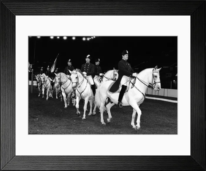 Framed Print : The Spanish Riding School of Vienna rehearsing their classical art of riding which they Framed Print : The Spanish Riding School of Vienna rehearsing their classical art of riding which they