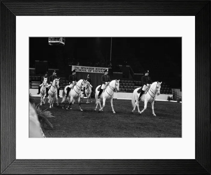 Framed Print : The Spanish Riding School of Vienna rehearsing their classical art of riding which they Framed Print : The Spanish Riding School of Vienna rehearsing their classical art of riding which they