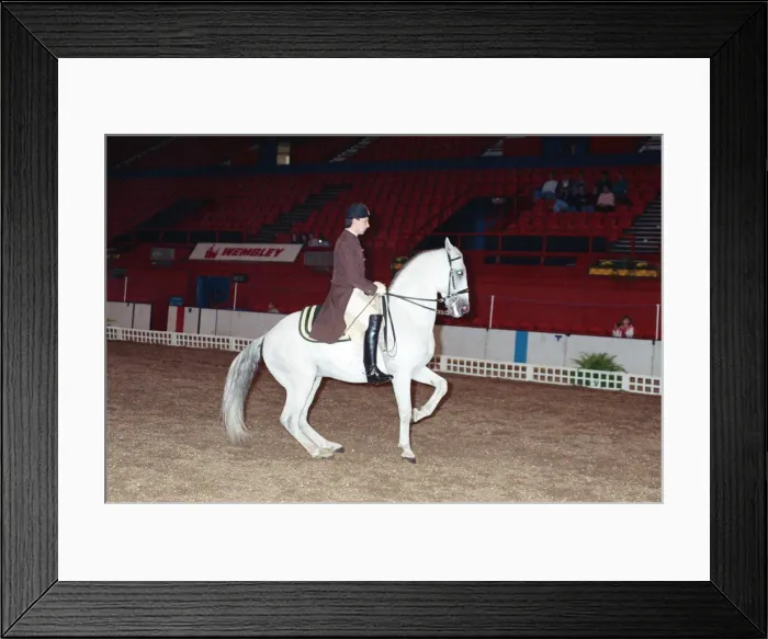 Framed Print : The Spanish Riding School rehearsing for their opening night at Wembley