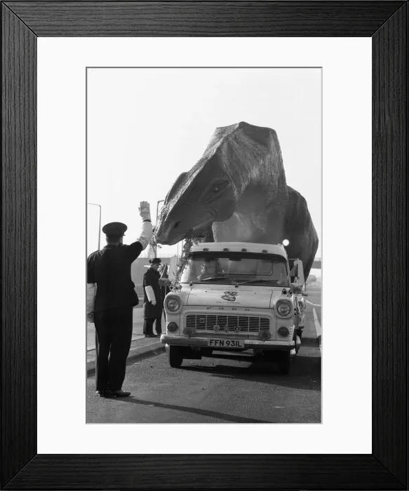Framed Print : A dinosaur on the move in Essex. A 16 foot high and 45 foot long Cetiosaurus Framed Print : A dinosaur on the move in Essex. A 16 foot high and 45 foot long Cetiosaurus
