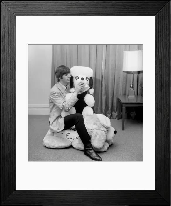 Framed Print : Ringo Starr, pictures in his New York hotel room, with a gigantic stuffed toy animal Framed Print : Ringo Starr, pictures in his New York hotel room, with a gigantic stuffed toy animal