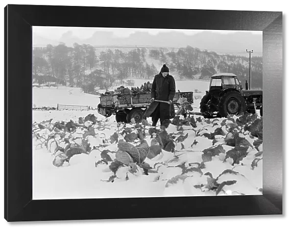 Snow scenes in the Hutton Rudby area. 1971