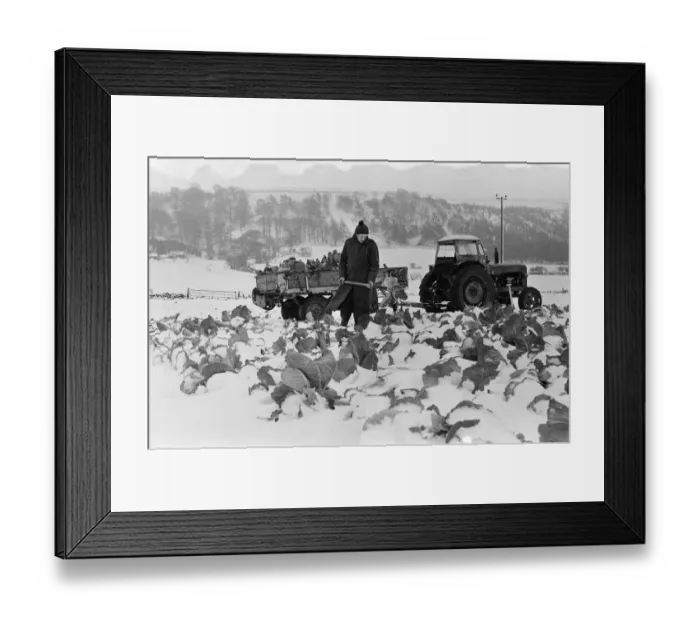 Framed Print : Snow scenes in the Hutton Rudby area. 1971