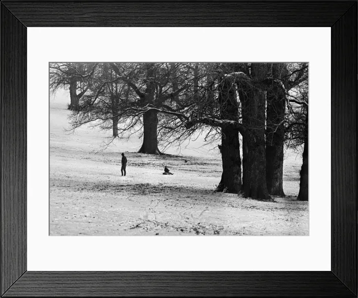 Framed Print : Snow in Prospect Park, Reading. 9th January 1971 Framed Print : Snow in Prospect Park, Reading. 9th January 1971