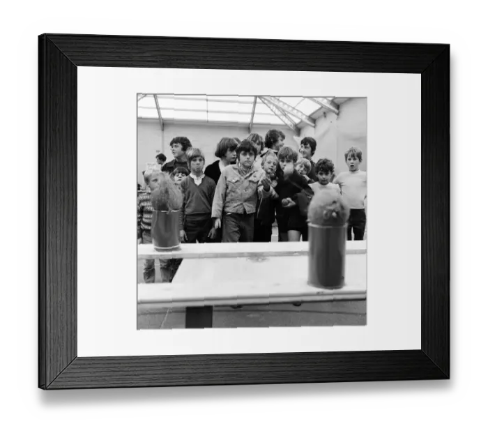 Framed Print : Guisborough School fete, children playing on the coconut shy stall. 1972 Framed Print : Guisborough School fete, children playing on the coconut shy stall. 1972