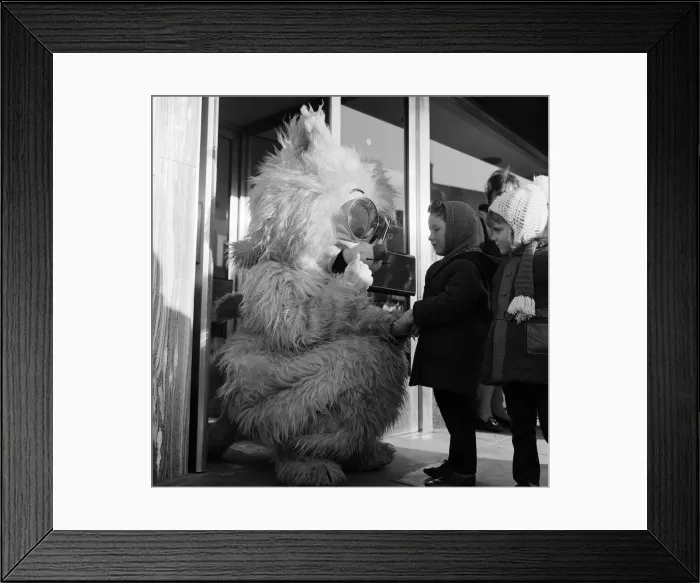 Framed Print : Seven foot cat on Stockton Hight Street. 1971