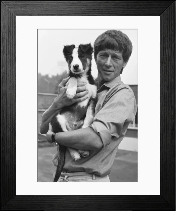 Framed Print : Blue Peter presenter John Noakes, seen here with the programmes new border collie puppy