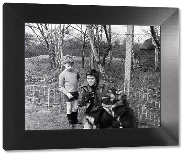 Actor, Oliver Reed, with his 7 year old son Mark and their alsatians Rex (left) and Rinty