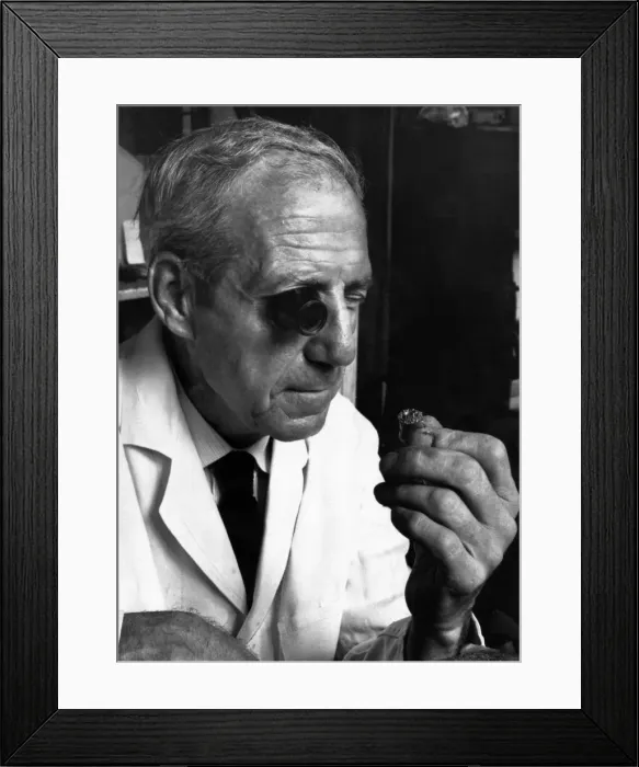Framed Print : Mr J Honeybone, Veteran Craftsman who has been in the Jewellery trade for 62 years Framed Print : Mr J Honeybone, Veteran Craftsman who has been in the Jewellery trade for 62 years