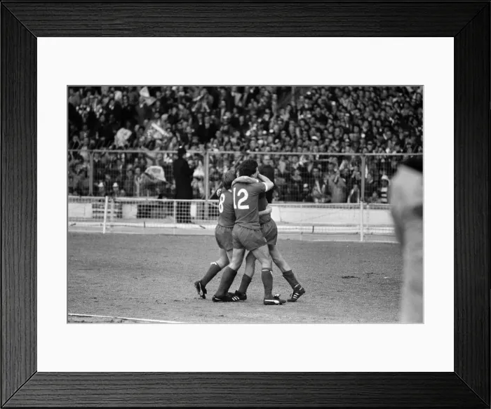 Framed Print : Liverpool v Tottenham Hotspur, Football League Cup Final at Wembley Stadium